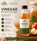 Vinegar Mother Culture
